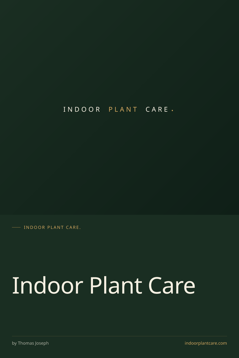 Pinterest pin: Monstera Care: Which Species You Have and How to Keep It